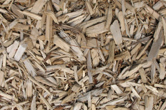 biomass boilers Dryslwyn